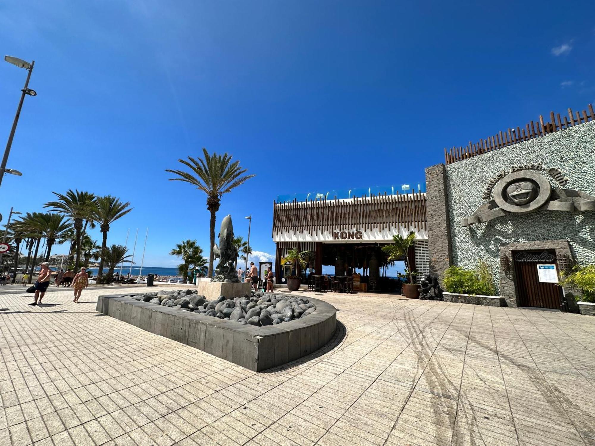 Torres De Yomely - Y4g Playa de las Americas (Tenerife)